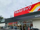 ツルハドラッグ　仙台向山店(ドラッグストア)まで400m ﾎｰﾕｳｺﾝﾌｫﾙﾄ愛宕大橋(209)