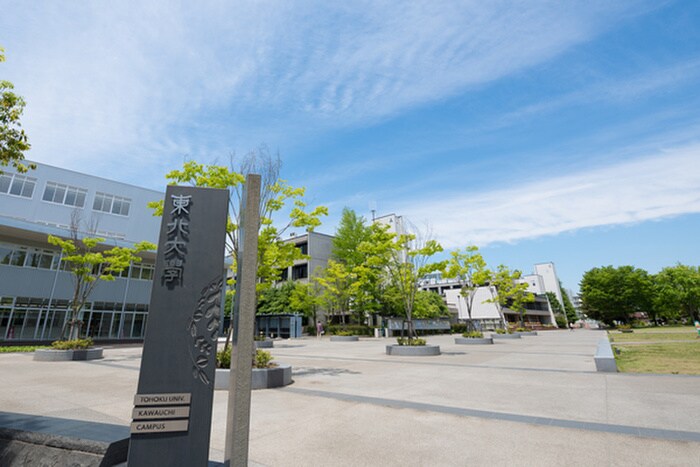 東北大学川内キャンパス(大学/短大/専門学校)まで600m ＡＩＲＬＩＸ国際センター