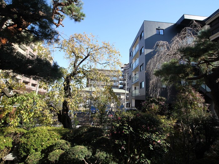 室内からの展望 スカイ上杉