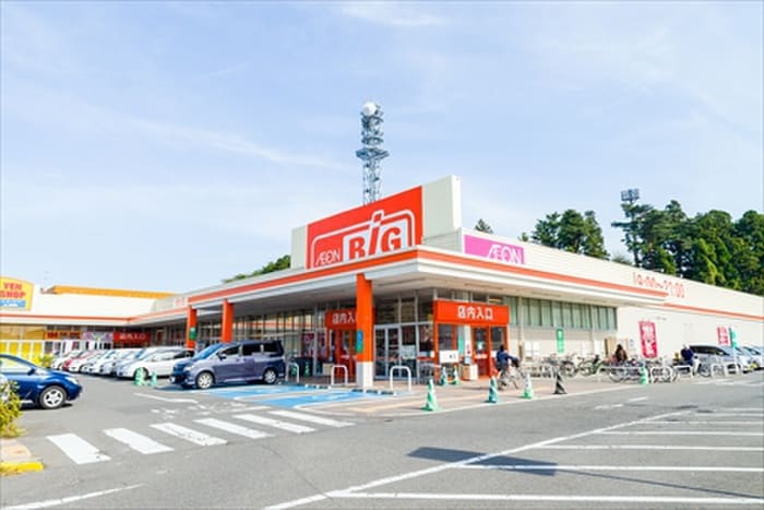 ザ・ビック多賀城鶴ケ谷店(スーパー)まで1500m 水沼方貸家５号棟