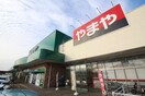 みやぎ生協 南光台店(スーパー)まで1900m エクセルシャトーS