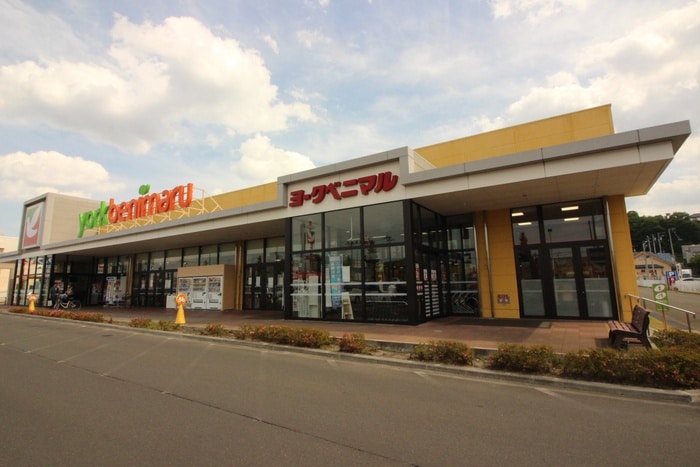 ヨークベニマル上谷刈店(スーパー)まで1100m サンコ－トリバ－みずほ台