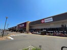 DCM名取店(電気量販店/ホームセンター)まで900m ﾌｫｰｼｰｽﾞﾝｽﾞｶﾞｰﾃﾞﾝ　ﾉｳｽ