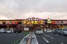 ドン・キホーテ仙台南(ディスカウントショップ)まで750m ベア－レ南仙台