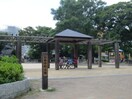 白島中町公園(公園)まで210m Ｔｉａｒａ白島