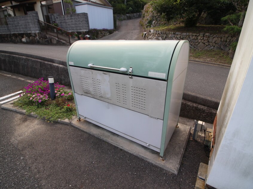 その他 アマレ－ナ