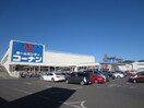 ホームセンターコーナン広島祇園店(電気量販店/ホームセンター)まで330m フォレストギオン