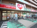 くすりのレデイ 矢野駅前店(ドラッグストア)まで1760m サンシャインコトブキ