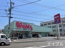 ウォンツ八幡3号店(ドラッグストア)まで230m パティシエ－ル吉川Ⅱ