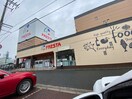 フレスタ 東山本店(スーパー)まで1040m メルヴェ－ユ