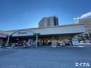 フレスタ 河内店(スーパー)まで240m ＬＵＰＩＮＡＳ