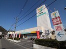 ユアーズ東海田店(スーパー)まで530m 東海荘