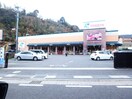 フレスタ己斐上店(スーパー)まで450m ＣＯＺＹ　ＣＯＵＲＴ　Ｂ