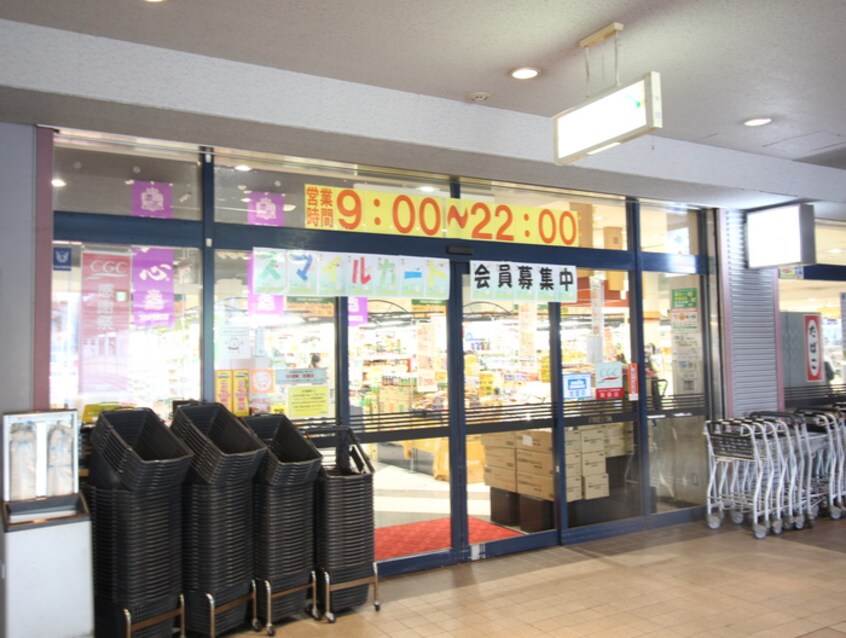 フレスタＡシティ店(スーパー)まで1200m Ｌａｒｇｅ　Ｒａｖｉｎ大塚西