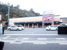 フレスタ 己斐上店(スーパー)まで1200m セジュールヤマダA棟