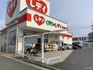 くすりのレデイ 井口店(ドラッグストア)まで800m イースト　オーブ