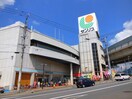 サンリブ府中店(スーパー)まで340m サンテラス府中