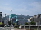 ニトリ(電気量販店/ホームセンター)まで1100m アザレア