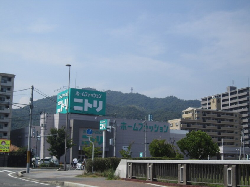 ニトリ(電気量販店/ホームセンター)まで1100m アザレア