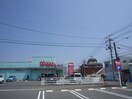 ウォンツ緑井店(ドラッグストア)まで280m リーガルフォーラム