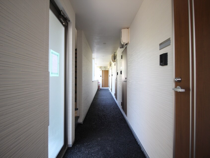 その他 サンテドール