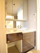 洗面 サンテドール