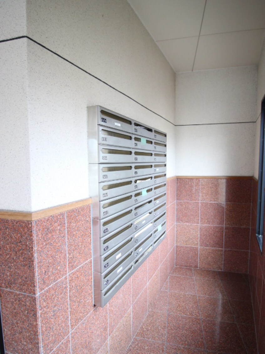 その他 アルバパッソ