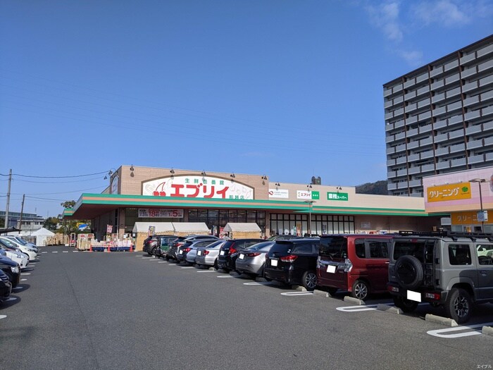 エブリィ船越店(スーパー)まで100m レジエンド船越南