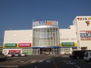 エディオン宇品店(電気量販店/ホームセンター)まで1300m コンフォート翠町