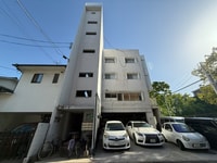 パステルクボ12