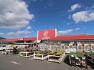 ジュンテンドー(電気量販店/ホームセンター)まで84m Grandtic　廿日市本町