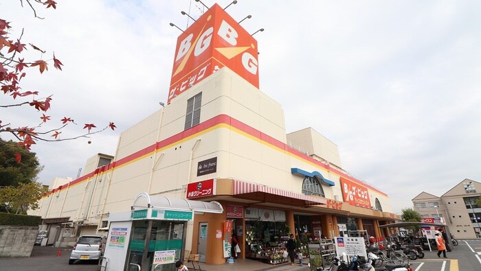 ビッグ宮内店(ディスカウントショップ)まで700m シェーネ・F