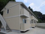 ひまわり