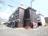 ワンピース