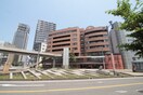 たかの橋中央病院(病院)まで360m ノ－ブル大手町
