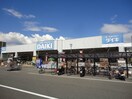 ＤＡＩＫＩ(電気量販店/ホームセンター)まで400m グランテリア楽々園W