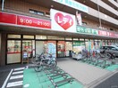 くすりのレデイ 矢野駅前店(ドラッグストア)まで1040m ベルフラワ－