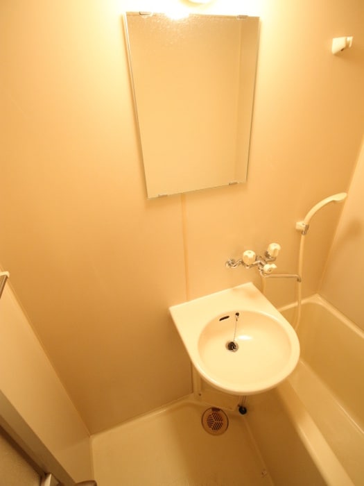 洗面 ハイツフォーシーズンズ