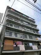 ハイツ羽衣(501)の外観