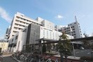 広島赤十字・原爆病院(病院)まで1100m 村岡ビル