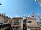 室内からの展望 ホワイトコ－トセザム