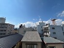 室内からの展望 ホワイトコ－トセザム