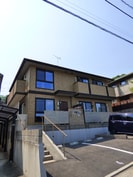 紫陽花の外観
