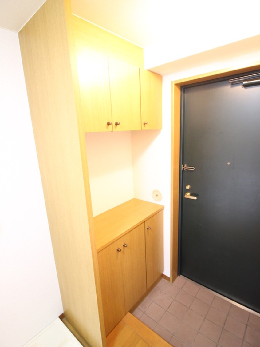 靴箱 ロゼッタ石本