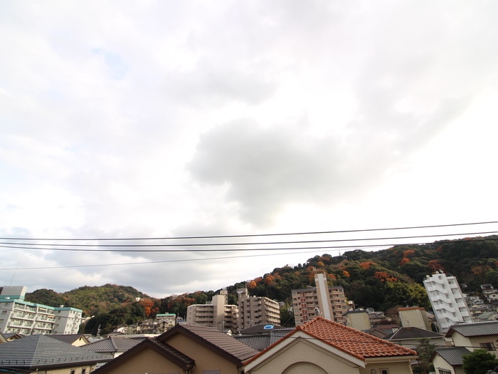 室内からの展望 ロゼッタ石本