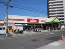 アルゾ 青崎店(スーパー)まで480m ラカーサ堀越Ｂ棟