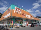 ドラッグセガミ大町店(ドラッグストア)まで1100m ソレーユ西山
