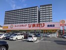 スーパードラッグひまわり 船越店(ドラッグストア)まで340m カ－サ船越南