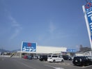 コーナン広島祇園店(電気量販店/ホームセンター)まで320m GRANDTIC LY　祗園