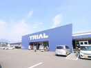 トライアル(電気量販店/ホームセンター)まで3800m カ－サ・ソレアダⅡ